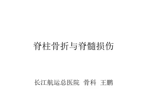 脊柱骨折与脊髓损伤