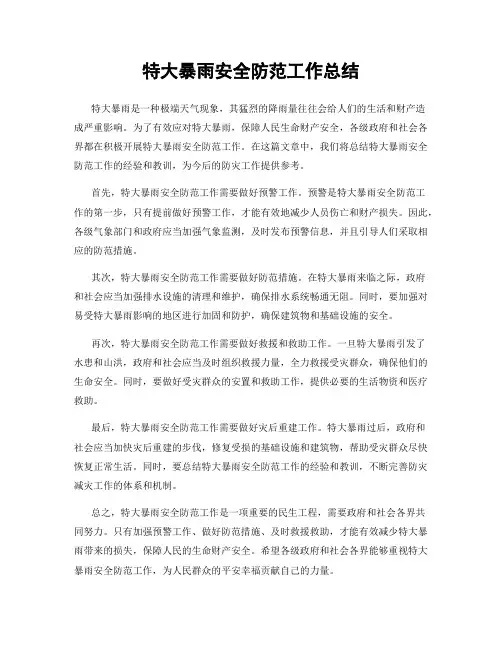 特大暴雨安全防范工作总结