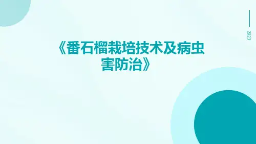 番石榴栽培技术及病虫害防治