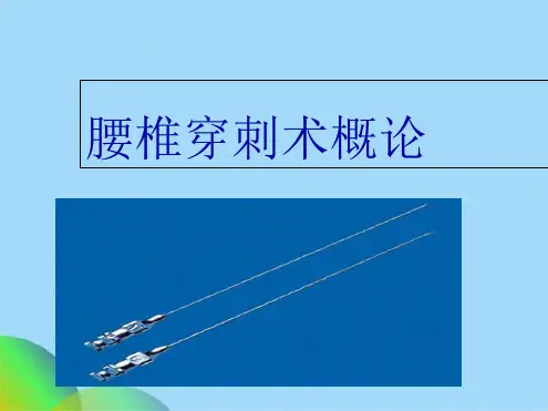 腰椎穿刺术ppt(共43张PPT)