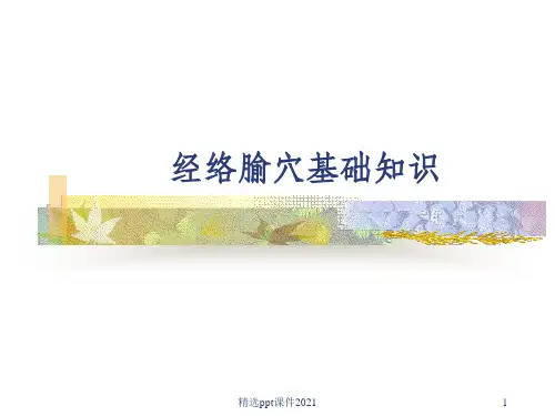经络腧穴基础知识ppt课件