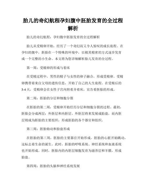胎儿的奇幻航程孕妇腹中胚胎发育的全过程解析