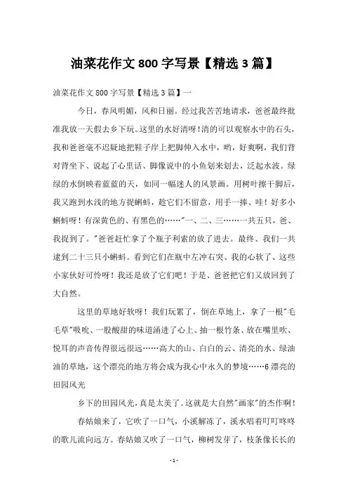 油菜花作文800字写景【3篇】