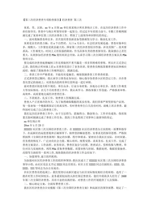【第三次经济普查专项检查报告】经济普查 第三次.docx