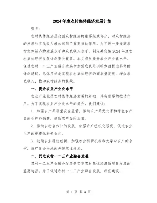2024年度农村集体经济发展计划