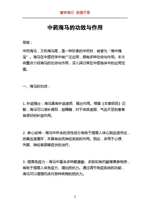 中药海马的功效与作用