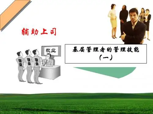 基层管理者的管理技能概述(PPT29张)