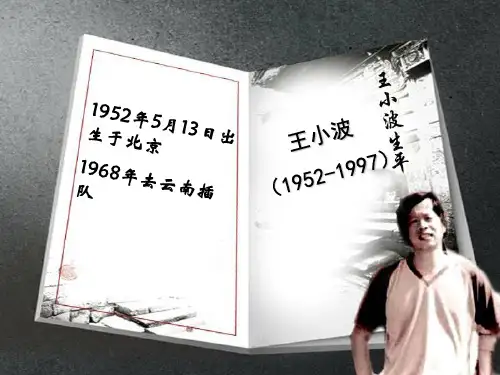 一只特立独行的猪王小波