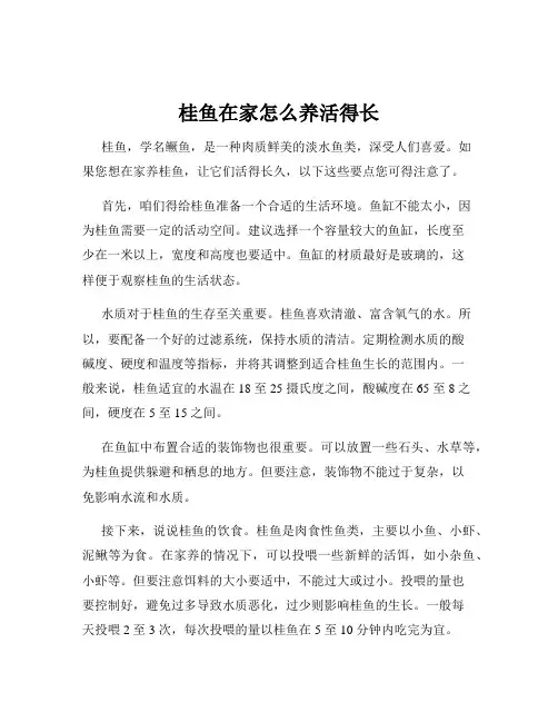 桂鱼在家怎么养活得长
