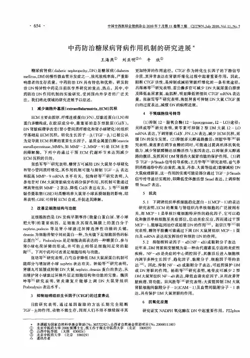 中药防治糖尿病肾病作用机制的研究进展