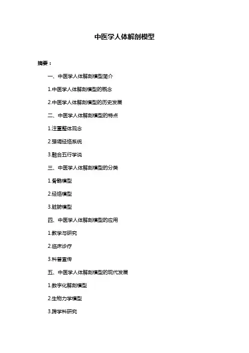 中医学人体解剖模型