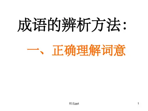 《正确辨析成语》PPT课件