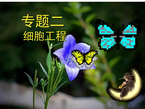 专题二细胞工程