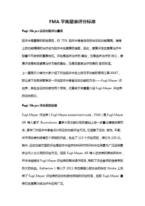 FMA平衡量表评分标准