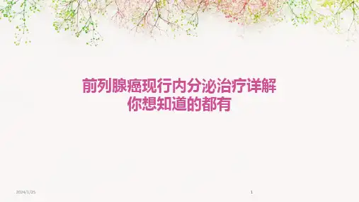2024版前列腺癌现行内分泌治疗详解你想知道的都有