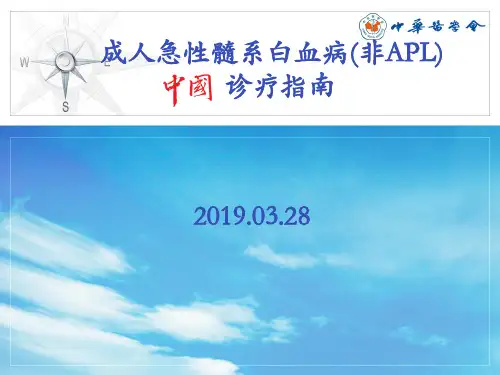 急性髓系白血病中国诊疗指南(2017年版)