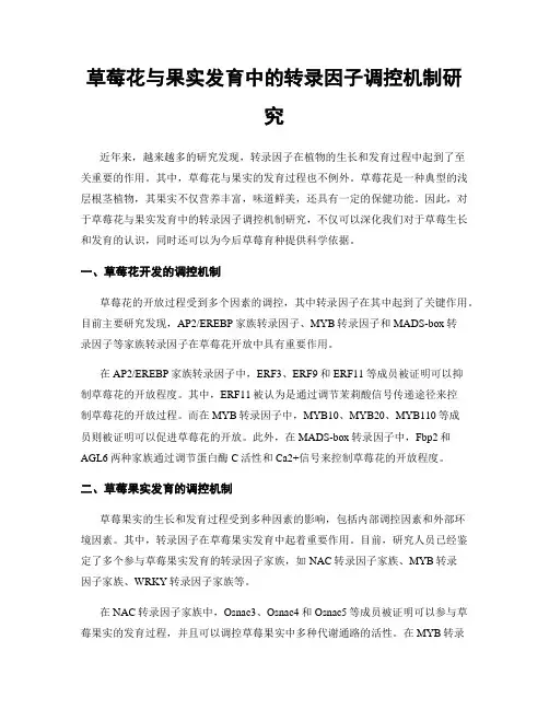 草莓花与果实发育中的转录因子调控机制研究