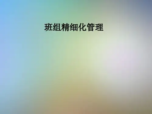 班组精细化管理