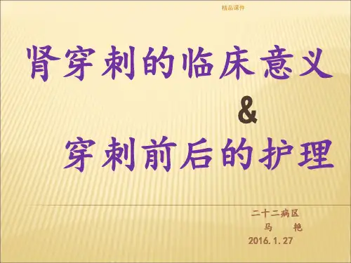 肾穿刺