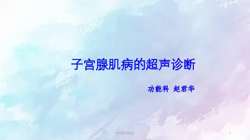 子宫腺肌症的超声诊断ppt课件
