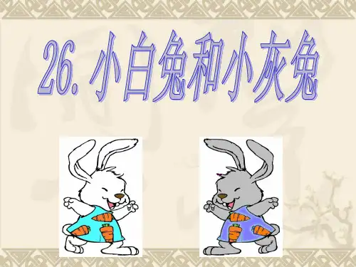 26小白兔和小灰兔 课件