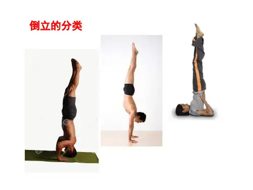 《体操——单肩后滚翻成跪撑平衡》课件PPT