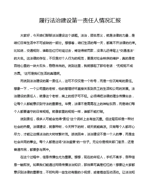 履行法治建设第一责任人情况汇报
