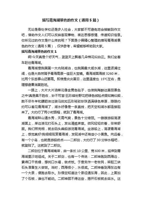 描写青海湖景色的作文（通用5篇）