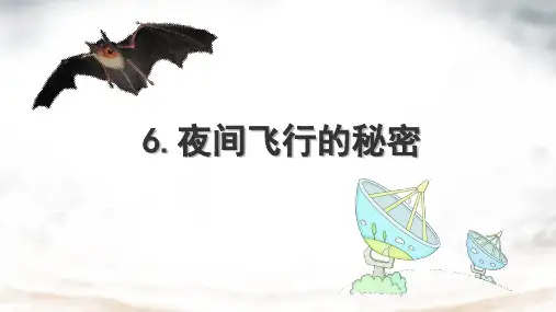 夜间飞行的秘密ppt课件
