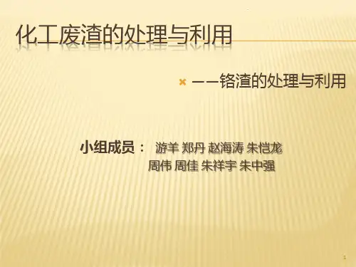 化工废渣的处理与PPT课件