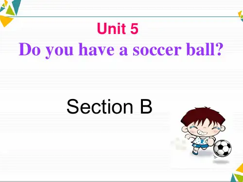 人教(新目标)初中英语七年级上册 Unit 5 Do you have a soccer ball