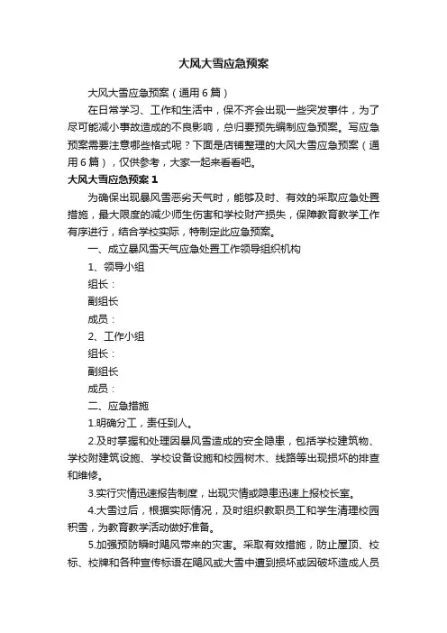 大风大雪应急预案