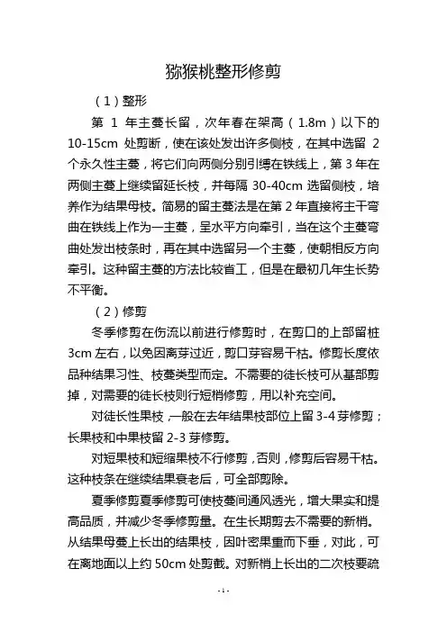 猕猴桃整形修剪