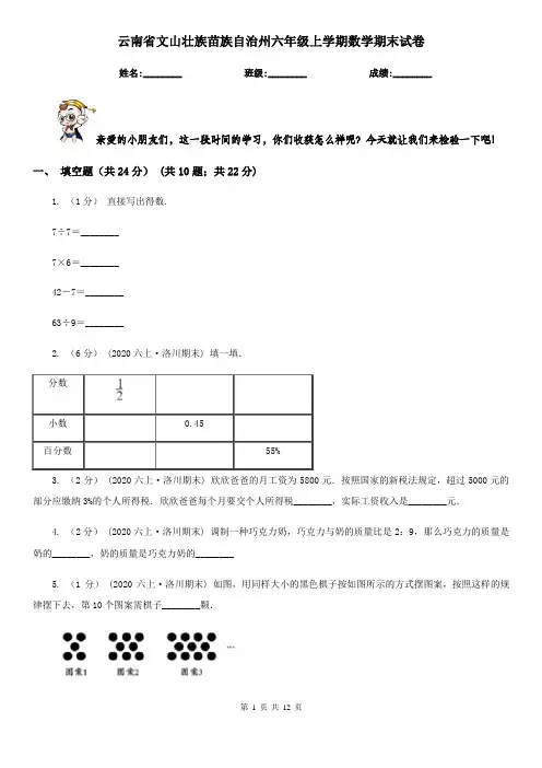 云南省文山壮族苗族自治州六年级上学期数学期末试卷