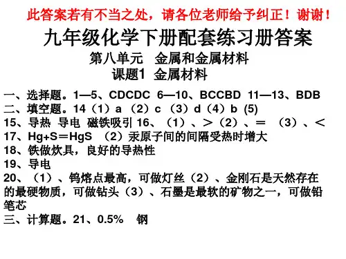 九年级化学下册配套练习册答案