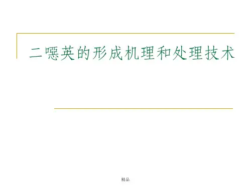 二恶英的形成机理和处理技术
