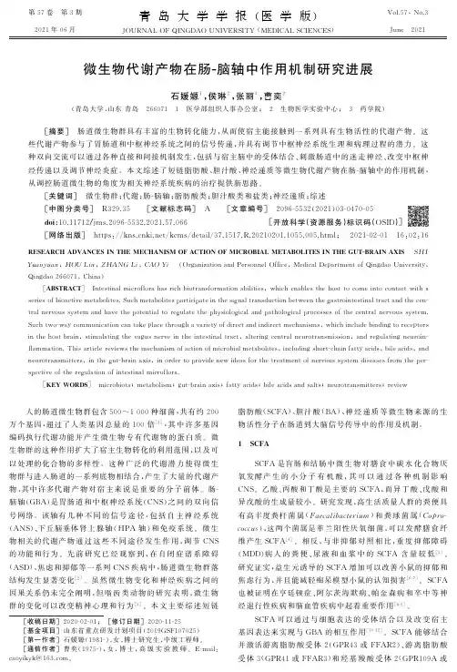 微生物代谢产物在肠-脑轴中作用机制研究进展