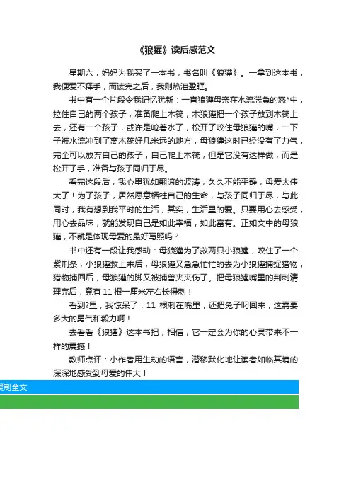 《狼獾》读后感范文