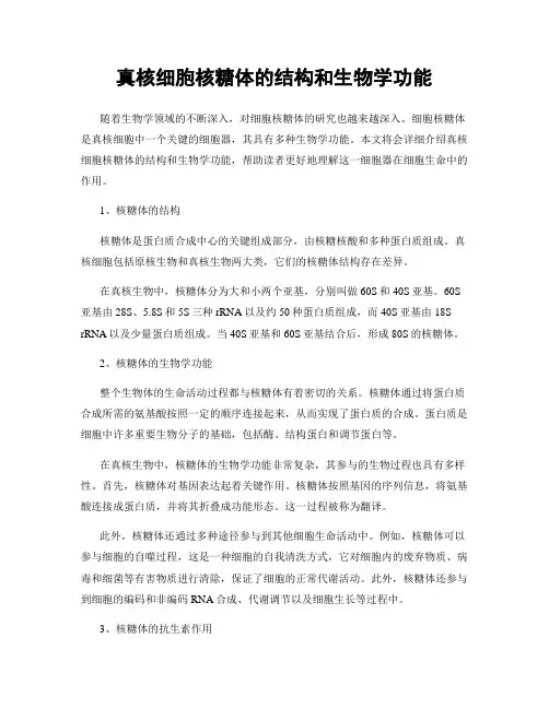 真核细胞核糖体的结构和生物学功能