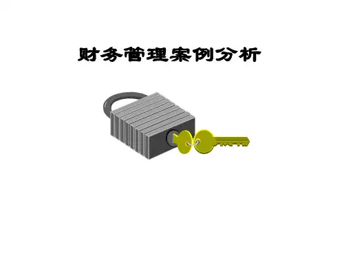 财务管理案例分析
