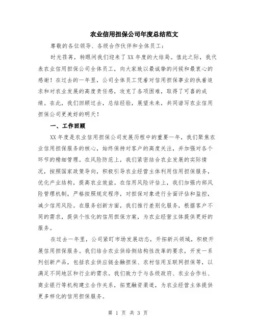 农业信用担保公司年度总结范文