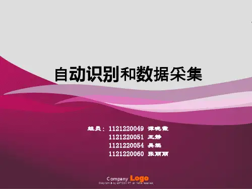 自动识别与数据采集