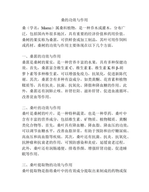 桑的功效与作用
