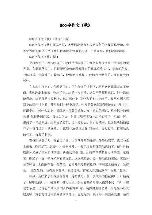 800字作文《秋》