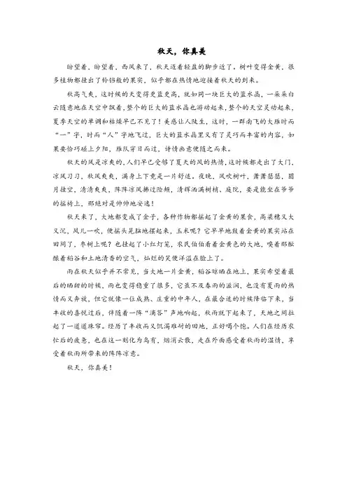 秋天,你真美