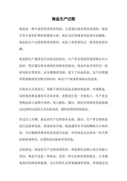 海盐生产过程