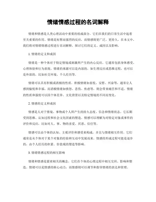 情绪情感过程的名词解释