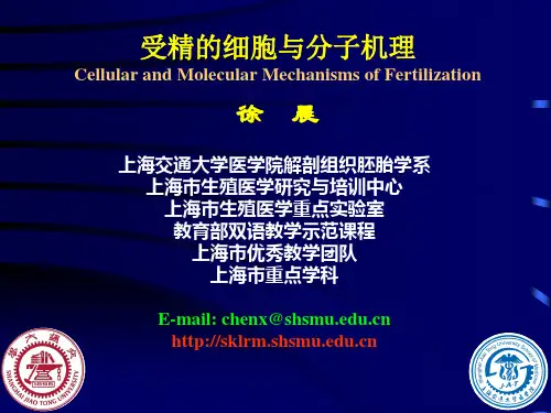 受精的机理