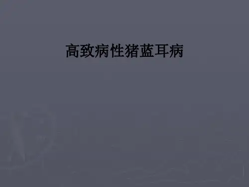 高致病性猪蓝耳病ppt课件