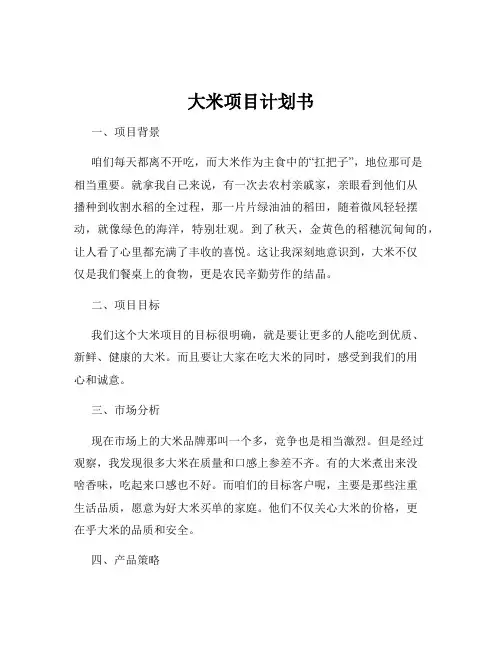 大米项目计划书